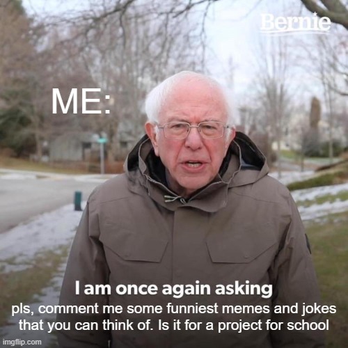 comment | ME:; pls, comment me some funniest memes and jokes
that you can think of. Is it for a project for school | image tagged in memes,bernie i am once again asking for your support | made w/ Imgflip meme maker