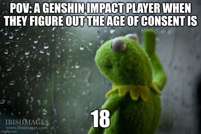 Just the average Genshin Impact player | POV: A GENSHIN IMPACT PLAYER WHEN THEY FIGURE OUT THE AGE OF CONSENT IS; 18 | image tagged in kermit window,genshin impact | made w/ Imgflip meme maker