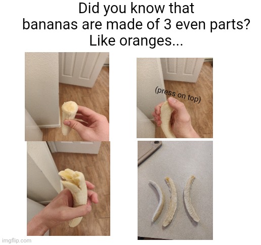 Meme #568 | Did you know that bananas are made of 3 even parts?
Like oranges... (press on top) | image tagged in blank white template,banana,facts,did you know,fruit,interesting | made w/ Imgflip meme maker