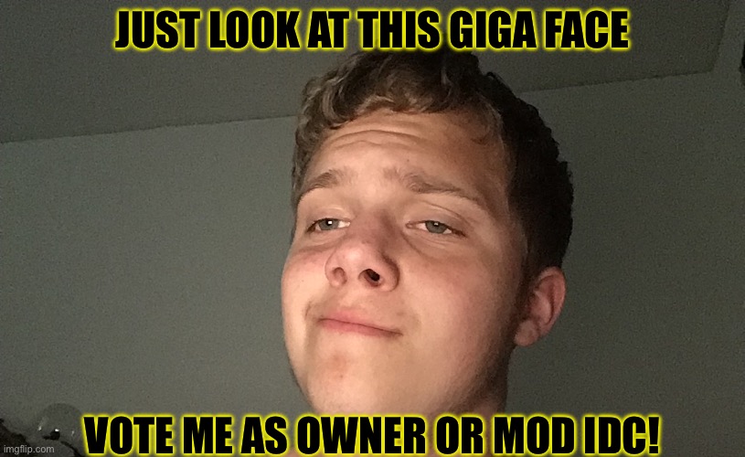 Yes | JUST LOOK AT THIS GIGA FACE; VOTE ME AS OWNER OR MOD IDC! | made w/ Imgflip meme maker