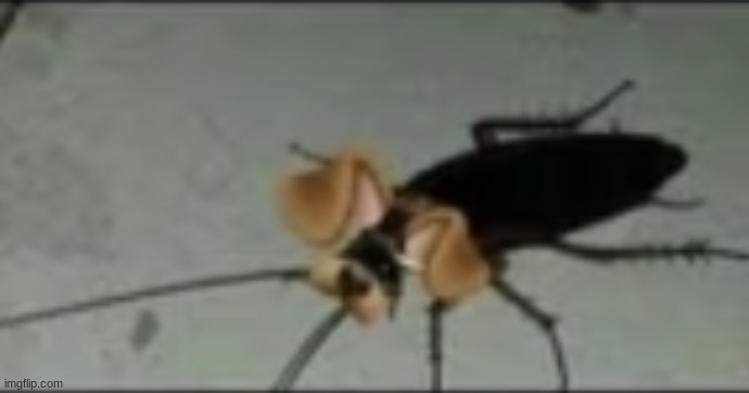 p | made w/ Imgflip meme maker