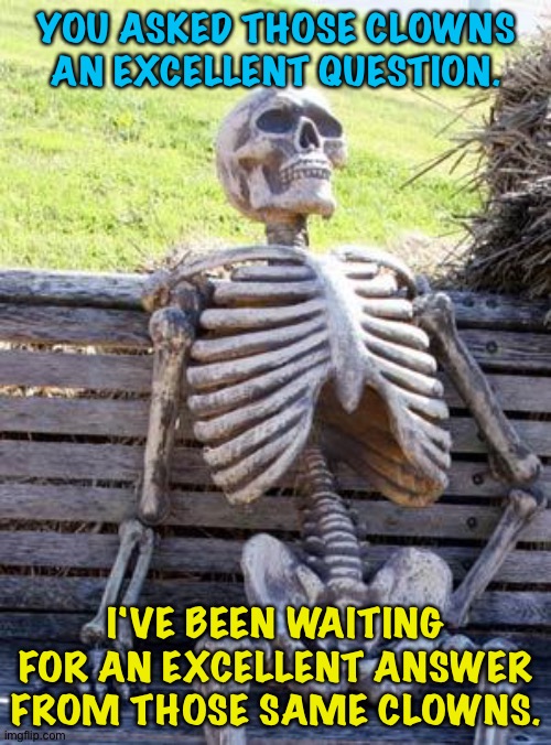 Waiting Skeleton Meme | YOU ASKED THOSE CLOWNS AN EXCELLENT QUESTION. I'VE BEEN WAITING FOR AN EXCELLENT ANSWER FROM THOSE SAME CLOWNS. | image tagged in memes,waiting skeleton | made w/ Imgflip meme maker