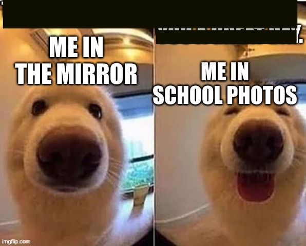 thanks to BMTHxFAN for the template | ME IN THE MIRROR; ME IN SCHOOL PHOTOS | image tagged in w doggo | made w/ Imgflip meme maker