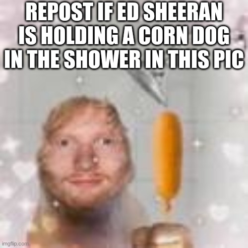 ed sheeran holding a corn dog in the shower | REPOST IF ED SHEERAN IS HOLDING A CORN DOG IN THE SHOWER IN THIS PIC | image tagged in ed sheeran holding a corn dog in the shower | made w/ Imgflip meme maker