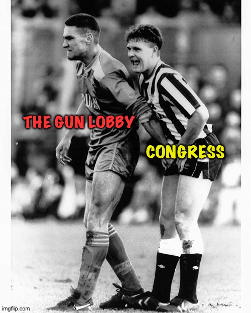 The Gun Lobby | THE GUN LOBBY CONGRESS | image tagged in vinnie jones | made w/ Imgflip meme maker