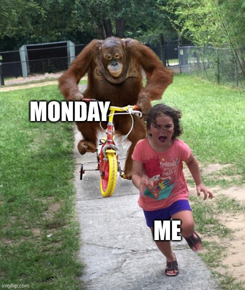 meme run | MONDAY; ME | image tagged in orangutan chasing girl on a tricycle | made w/ Imgflip meme maker