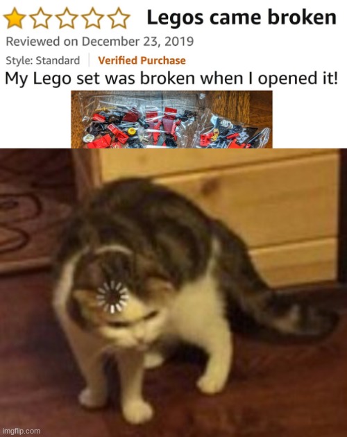 how stupid are they | image tagged in loading cat | made w/ Imgflip meme maker