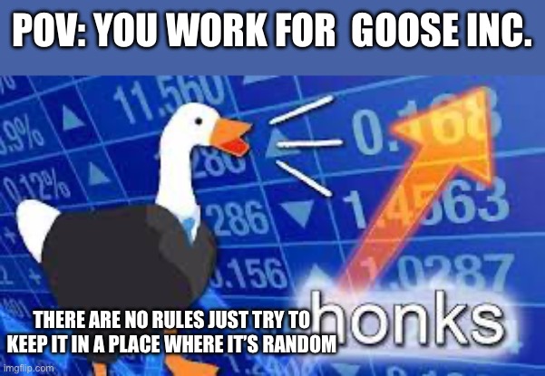 POV: YOU WORK FOR  GOOSE INC. THERE ARE NO RULES JUST TRY TO KEEP IT IN A PLACE WHERE IT’S RANDOM | made w/ Imgflip meme maker