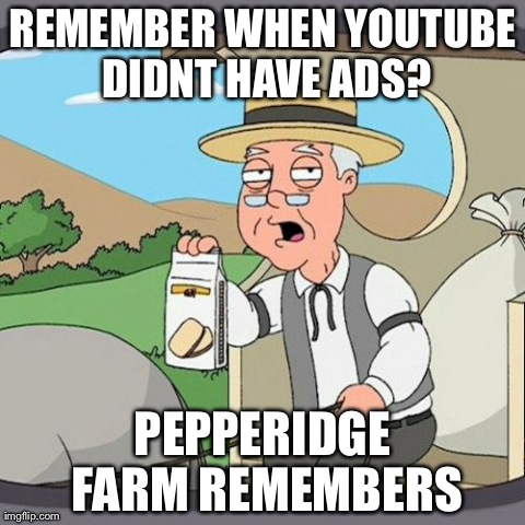 Pepperidge Farm Remembers Meme | REMEMBER WHEN YOUTUBE DIDNT HAVE ADS? PEPPERIDGE FARM REMEMBERS | image tagged in memes,pepperidge farm remembers | made w/ Imgflip meme maker