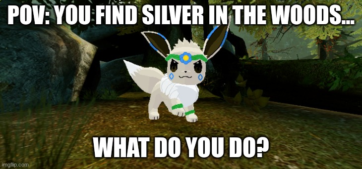 You Found Silver, A Shiny Eevee, What do you do? Comment Below. | POV: YOU FIND SILVER IN THE WOODS... WHAT DO YOU DO? | made w/ Imgflip meme maker