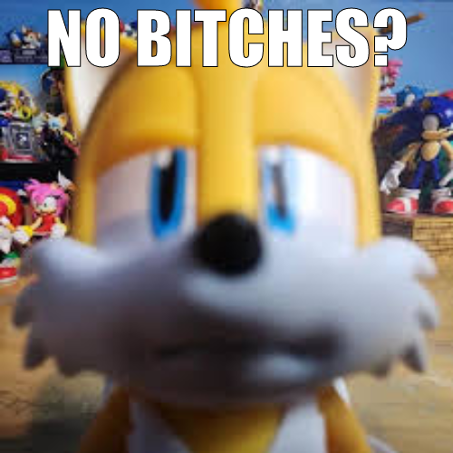 High Quality tails no bitches Blank Meme Template