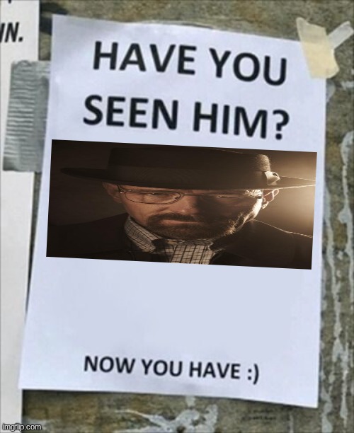 Have you seen him. Now you have. | image tagged in walter white,smile,walter,breaking bad,fixing good,hot | made w/ Imgflip meme maker