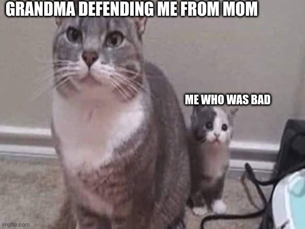everyone when they were a kid | GRANDMA DEFENDING ME FROM MOM; ME WHO WAS BAD | image tagged in cats | made w/ Imgflip meme maker
