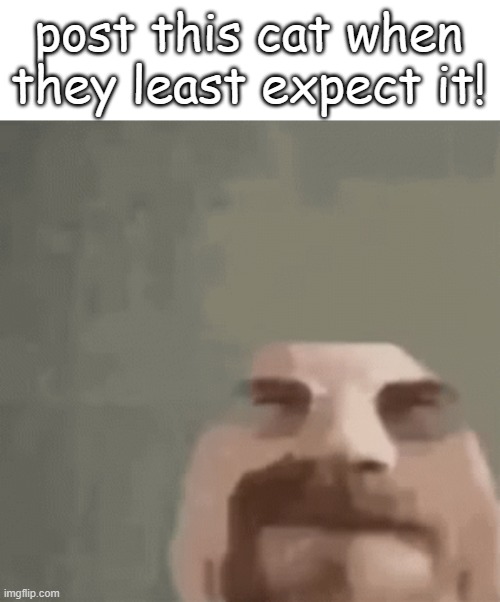 heisenburger | post this cat when they least expect it! | image tagged in heisenburger | made w/ Imgflip meme maker