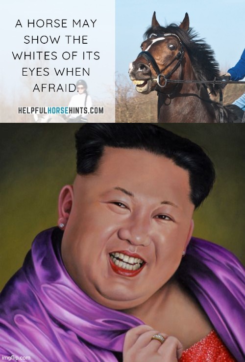 But why? Why would you do that? | image tagged in but why why would you do that,horses,hate,kim jong un,just like everyone else does | made w/ Imgflip meme maker