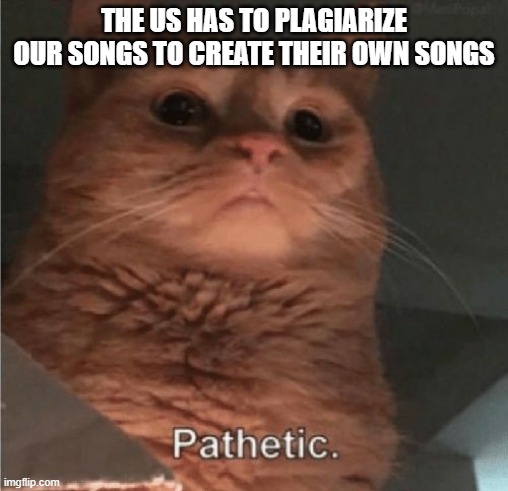 Y must they tho | THE US HAS TO PLAGIARIZE OUR SONGS TO CREATE THEIR OWN SONGS | image tagged in pathetic cat,fools,failure | made w/ Imgflip meme maker