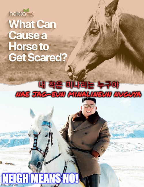 No this is not ok | 내 작은 미나리는 누구야
nae jag-eun minalineun nuguya; NEIGH MEANS NO! | image tagged in no,this is not okie dokie,horses,kim jong un | made w/ Imgflip meme maker