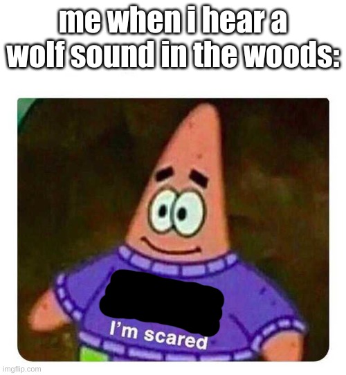 hahahaha man im dead *skull face* | me when i hear a wolf sound in the woods: | image tagged in patrick mom come pick me up i'm scared | made w/ Imgflip meme maker