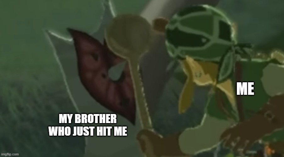 link hitting korok with a spoon | ME; MY BROTHER WHO JUST HIT ME | image tagged in link hitting korok with a spoon | made w/ Imgflip meme maker