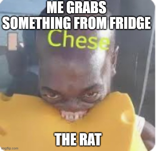 ME GRABS SOMETHING FROM FRIDGE; THE RAT | made w/ Imgflip meme maker