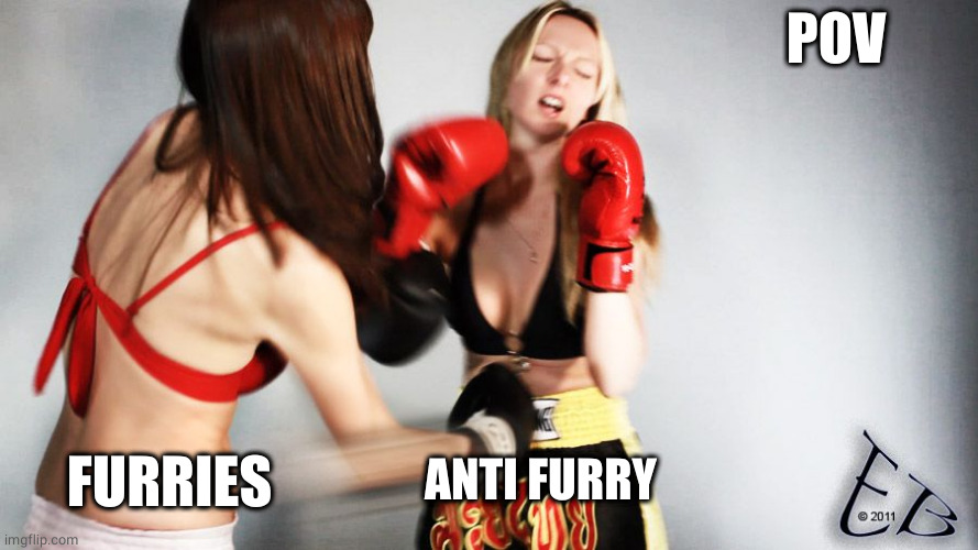 Belly Punch | POV FURRIES ANTI FURRY | image tagged in belly punch | made w/ Imgflip meme maker