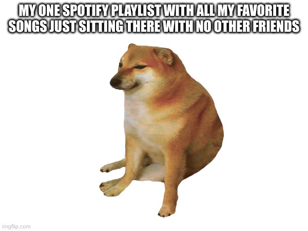 for me its AJR and twenty one pilots, what about you guys? | MY ONE SPOTIFY PLAYLIST WITH ALL MY FAVORITE SONGS JUST SITTING THERE WITH NO OTHER FRIENDS | image tagged in memes | made w/ Imgflip meme maker