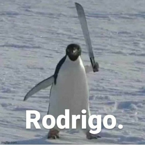 Rodrigo | image tagged in rodrigo | made w/ Imgflip meme maker