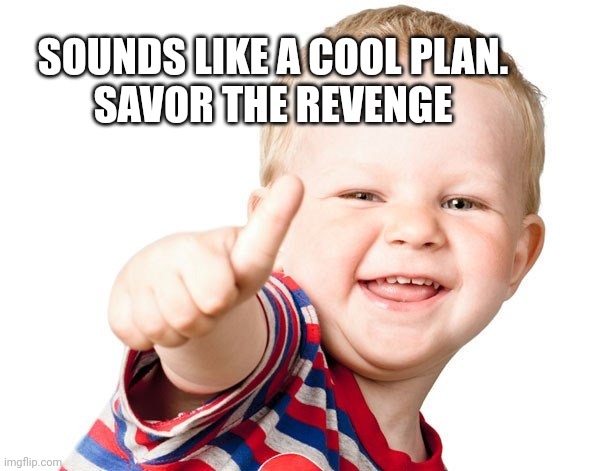 Thumbs Up Kid | SOUNDS LIKE A COOL PLAN.
SAVOR THE REVENGE | image tagged in thumbs up kid | made w/ Imgflip meme maker