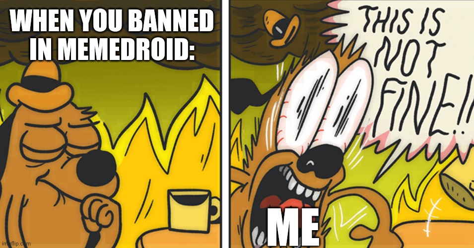 context: I was permanently banned from memedroid but I am always a multi-account | WHEN YOU BANNED IN MEMEDROID:; ME | image tagged in this is not fine | made w/ Imgflip meme maker