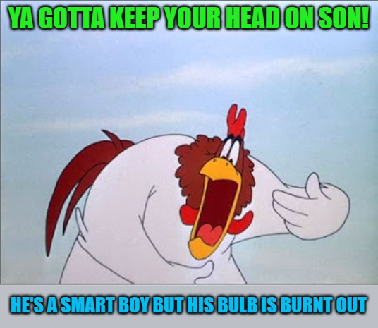 foghorn | YA GOTTA KEEP YOUR HEAD ON SON! HE'S A SMART BOY BUT HIS BULB IS BURNT OUT | image tagged in foghorn | made w/ Imgflip meme maker