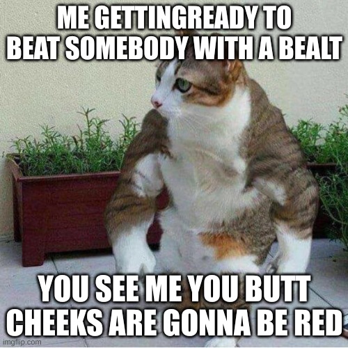 meme | ME GETTINGREADY TO BEAT SOMEBODY WITH A BEALT; YOU SEE ME YOU BUTT CHEEKS ARE GONNA BE RED | image tagged in funny memes | made w/ Imgflip meme maker