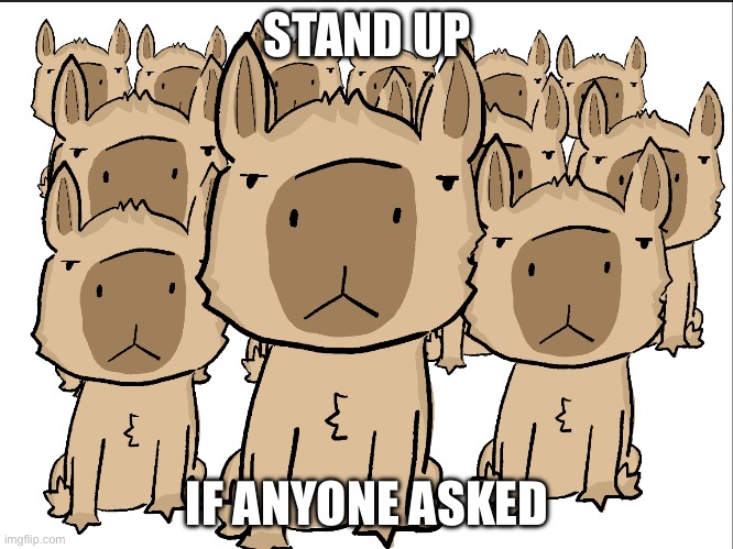 Capybara | STAND UP; IF ANYONE ASKED | image tagged in capybara group | made w/ Imgflip meme maker