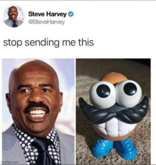 Steve Harvey | image tagged in in a nutshell | made w/ Imgflip meme maker