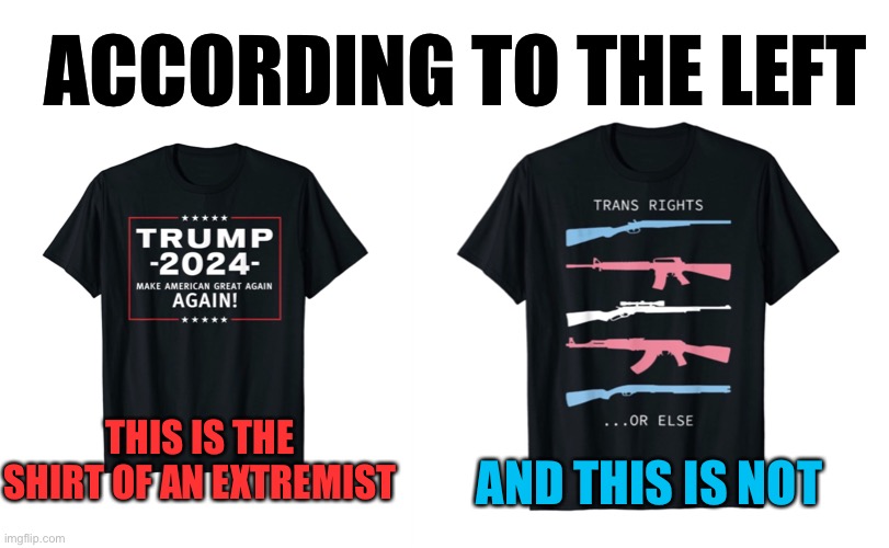 Who is the extremist? | ACCORDING TO THE LEFT; THIS IS THE SHIRT OF AN EXTREMIST; AND THIS IS NOT | image tagged in politics,political,leftists,liberal logic,memes | made w/ Imgflip meme maker