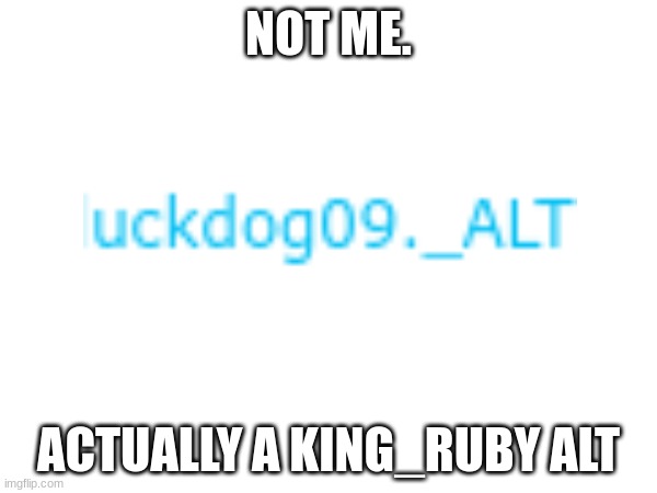 irony | NOT ME. ACTUALLY A KING_RUBY ALT | image tagged in why is the fbi here | made w/ Imgflip meme maker