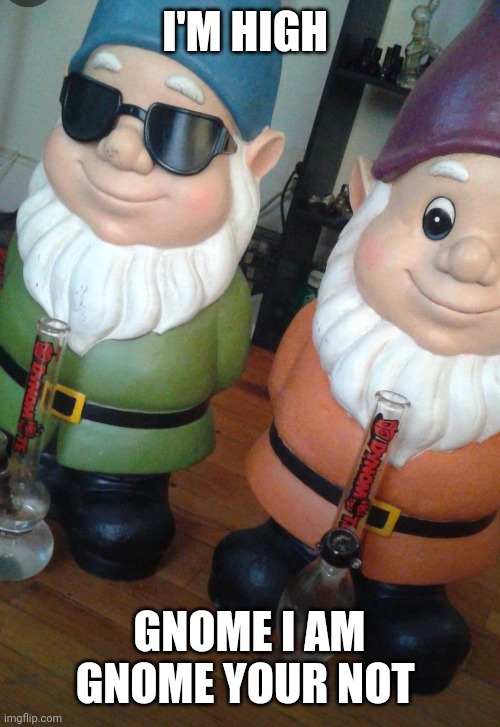 Funny | I'M HIGH; GNOME I AM GNOME YOUR NOT | image tagged in funny | made w/ Imgflip meme maker