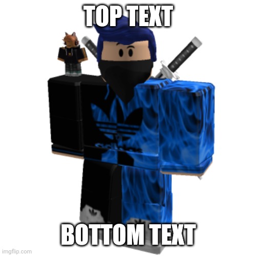 Zero Frost | TOP TEXT; BOTTOM TEXT | image tagged in zero frost | made w/ Imgflip meme maker