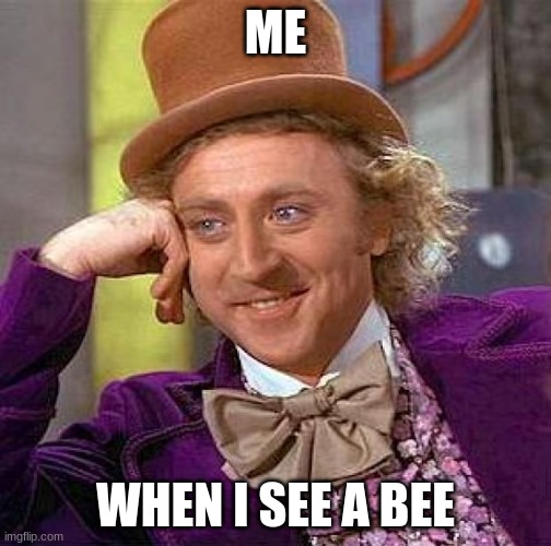 Creepy Condescending Wonka Meme | ME; WHEN I SEE A BEE | image tagged in memes,creepy condescending wonka | made w/ Imgflip meme maker