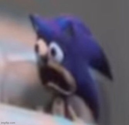 Traumatised Sonic | image tagged in traumatised sonic | made w/ Imgflip meme maker