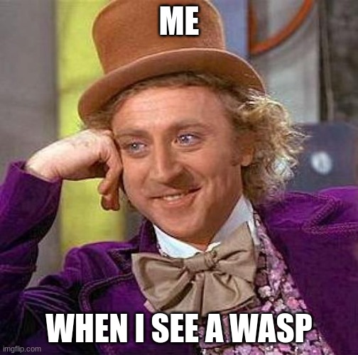 Creepy Condescending Wonka | ME; WHEN I SEE A WASP | image tagged in memes,creepy condescending wonka | made w/ Imgflip meme maker