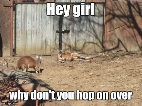Hey girl why don't you hop on over | image tagged in AdviceAnimals | made w/ Imgflip meme maker