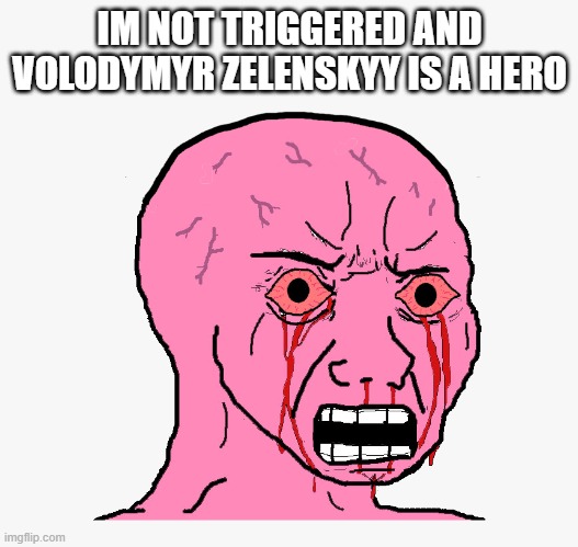 IM NOT TRIGGERED AND VOLODYMYR ZELENSKYY IS A HERO | made w/ Imgflip meme maker