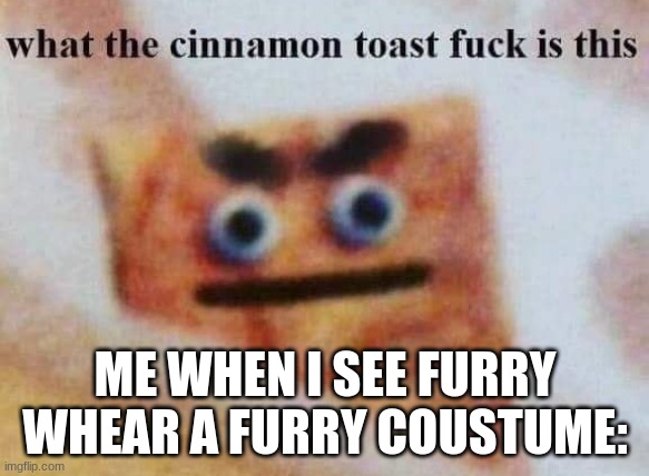 what the cinnamon toast f^%$ is this | ME WHEN I SEE FURRY WHEAR A FURRY COUSTUME: | image tagged in what the cinnamon toast f is this | made w/ Imgflip meme maker