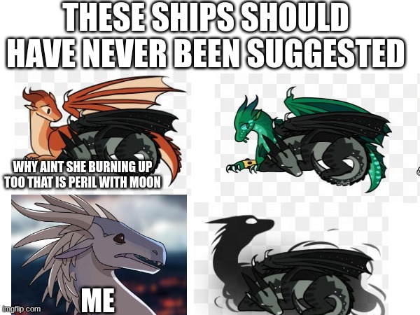 ahem listen please | THESE SHIPS SHOULD HAVE NEVER BEEN SUGGESTED; WHY AINT SHE BURNING UP TOO THAT IS PERIL WITH MOON; ME | image tagged in wings of fire | made w/ Imgflip meme maker
