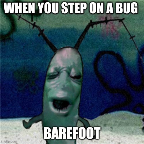 PLANKON | WHEN YOU STEP ON A BUG; BAREFOOT | image tagged in memes | made w/ Imgflip meme maker