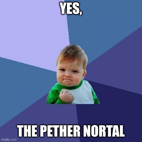 Success Kid Meme | YES, THE PETHER NORTAL | image tagged in memes,success kid | made w/ Imgflip meme maker