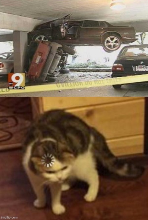 What the hell happened here | image tagged in loading cat,what the hell happened here | made w/ Imgflip meme maker