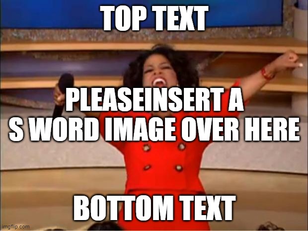 Oprah You Get A Meme | TOP TEXT BOTTOM TEXT PLEASEINSERT A S WORD IMAGE OVER HERE | image tagged in memes,oprah you get a | made w/ Imgflip meme maker