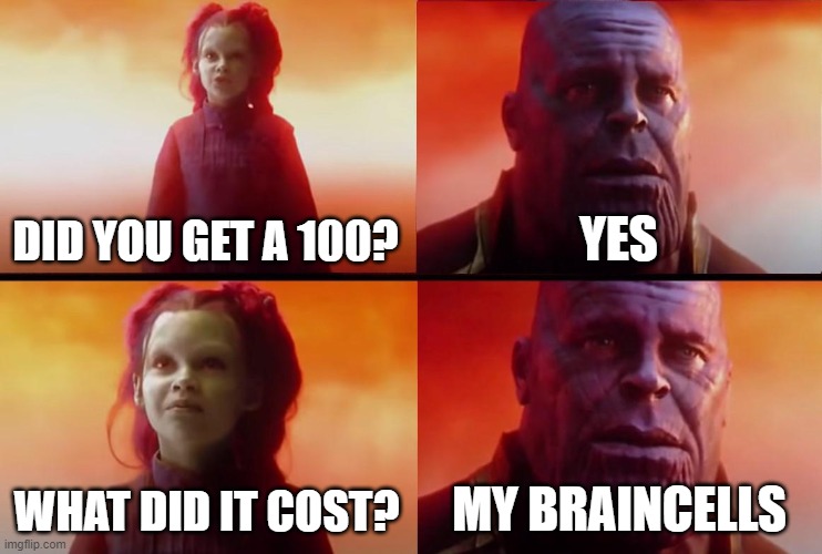 thanos what did it cost | DID YOU GET A 100? YES WHAT DID IT COST? MY BRAINCELLS | image tagged in thanos what did it cost | made w/ Imgflip meme maker