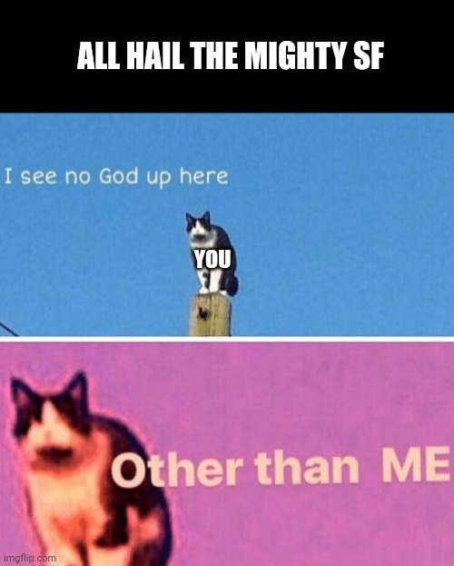 Hail pole cat | YOU ALL HAIL THE MIGHTY SF | image tagged in hail pole cat | made w/ Imgflip meme maker